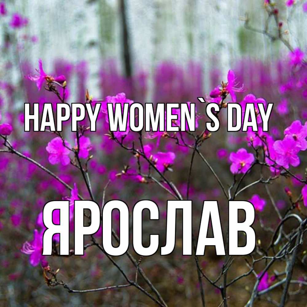 Greetings card с именем, Ярослав happy women`s day дикие цветы Greetings with text for free download 